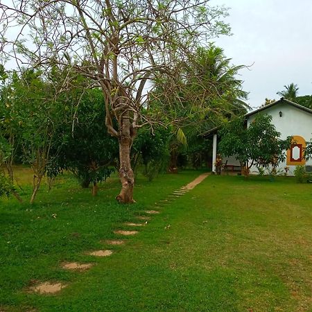 Hideaway Homestay Habarana Εξωτερικό φωτογραφία