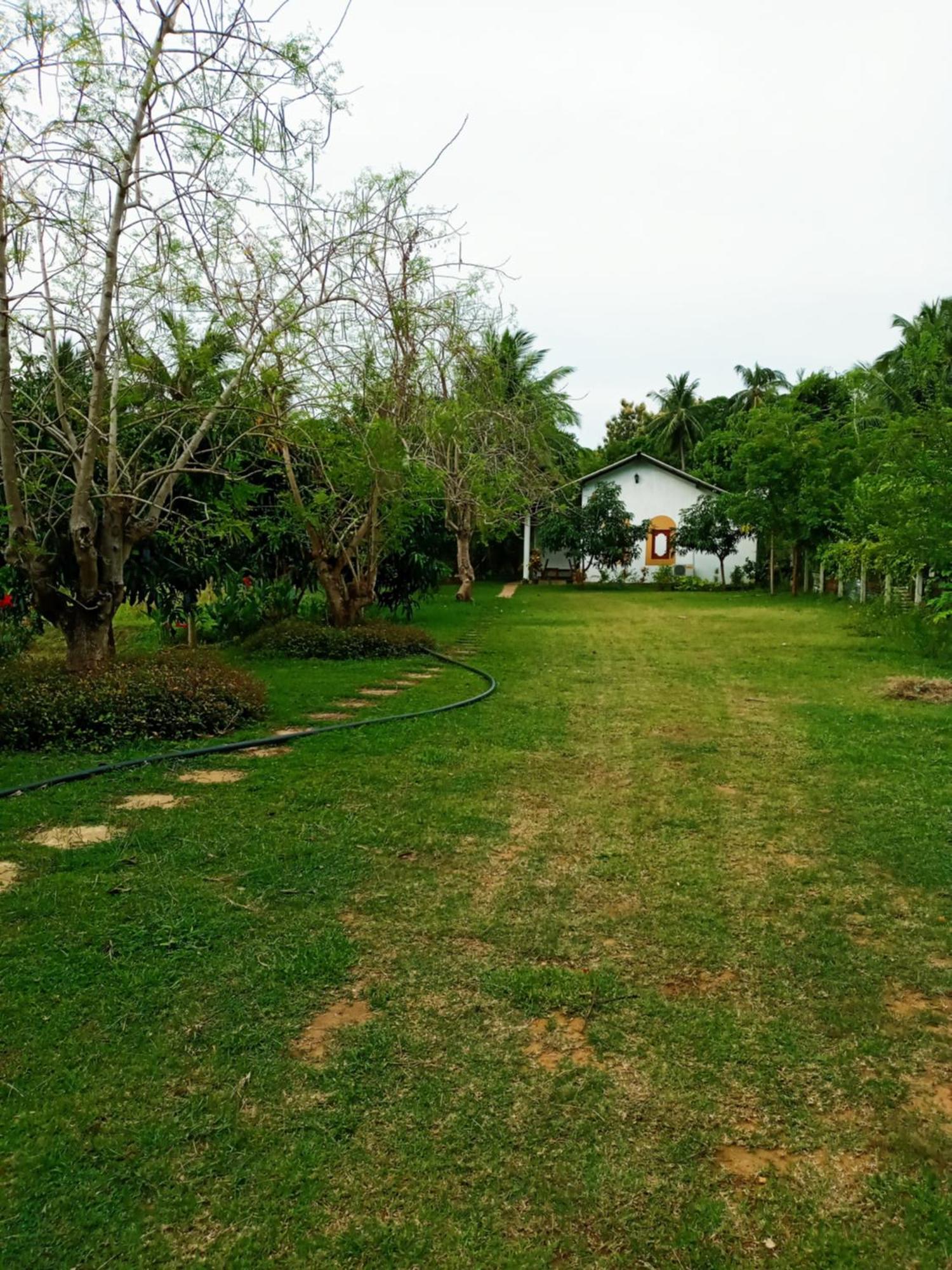 Hideaway Homestay Habarana Εξωτερικό φωτογραφία