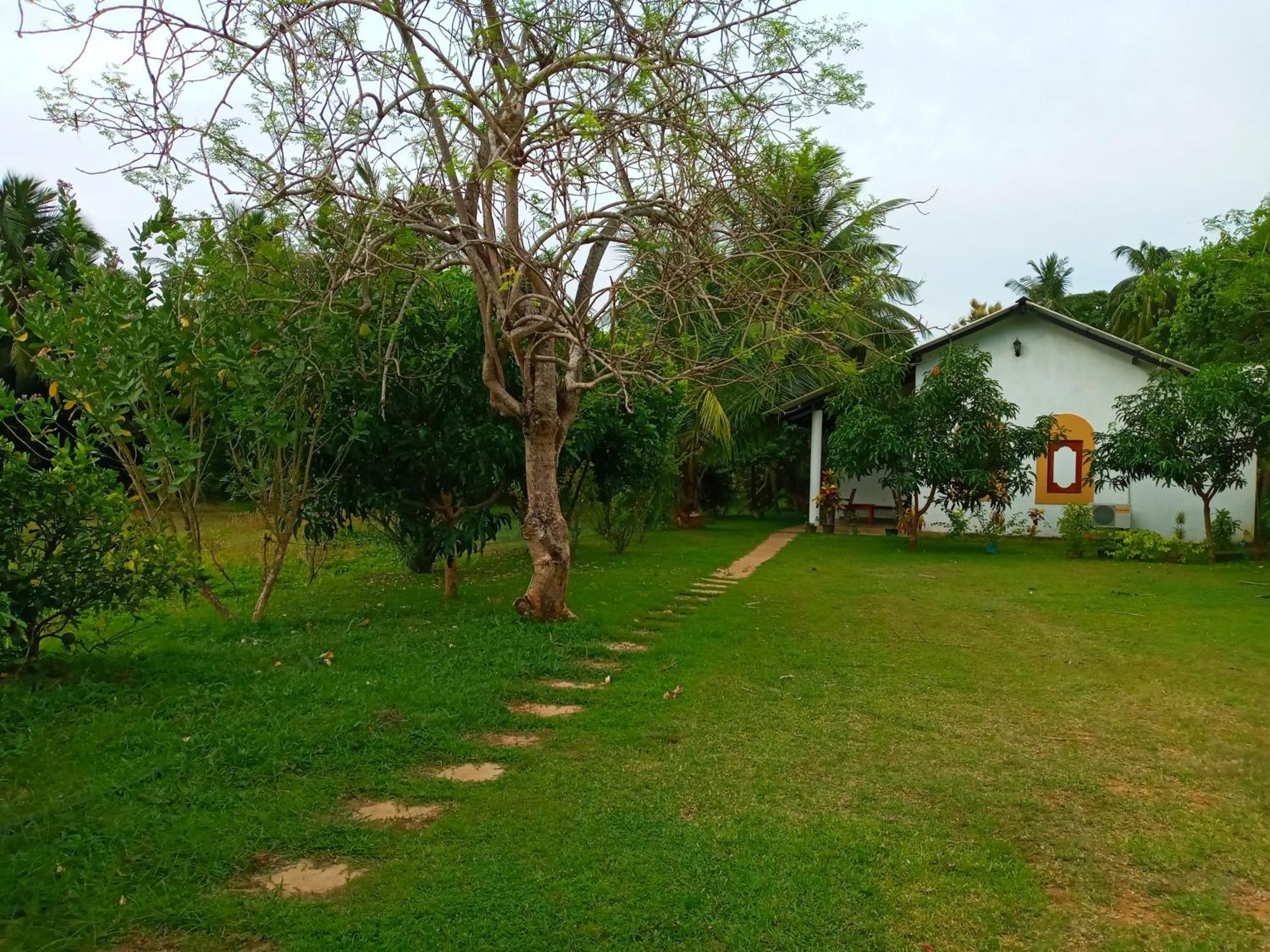 Hideaway Homestay Habarana Εξωτερικό φωτογραφία