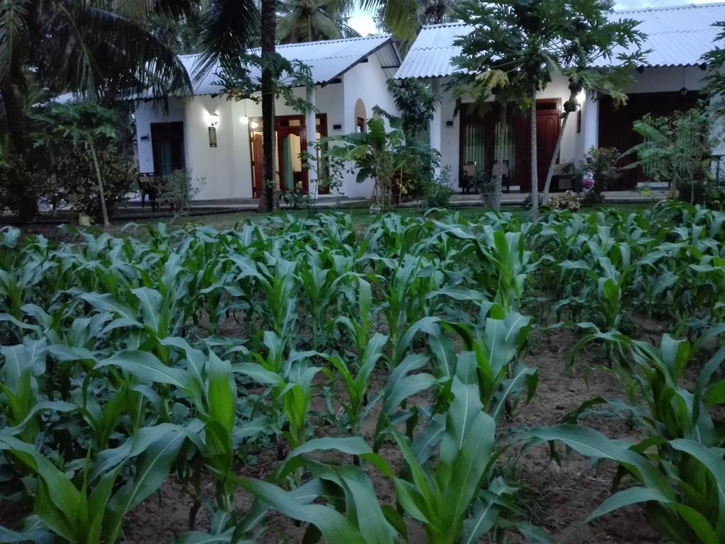 Hideaway Homestay Habarana Εξωτερικό φωτογραφία
